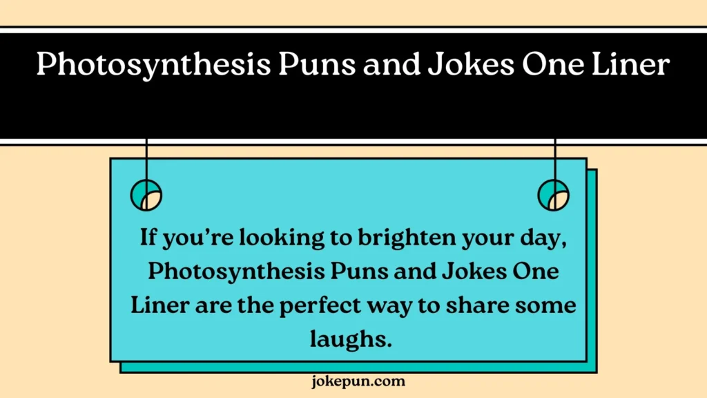 photosynthesis-puns-and-jokes-one-liner