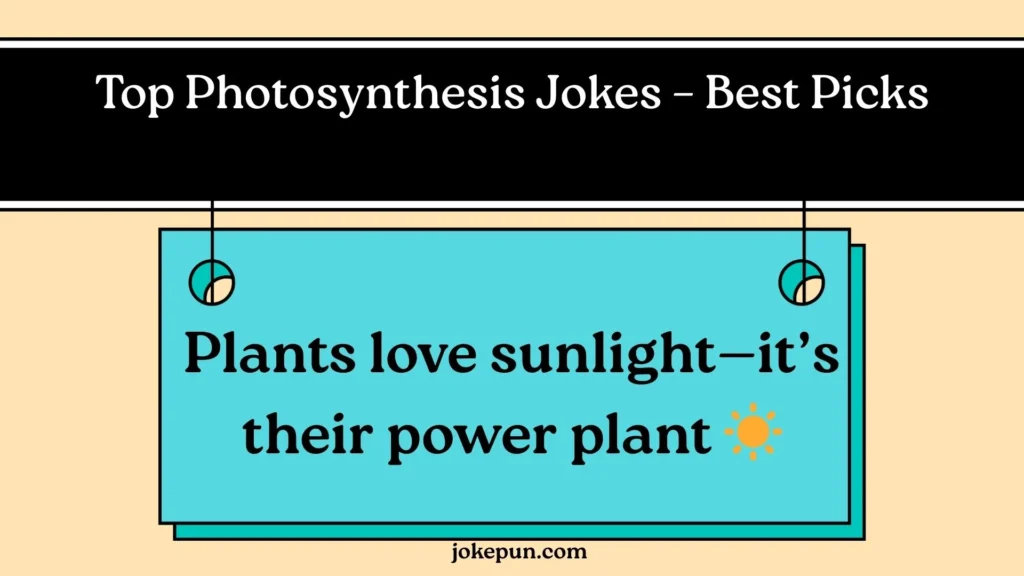 Top Photosynthesis Jokes – Best Picks