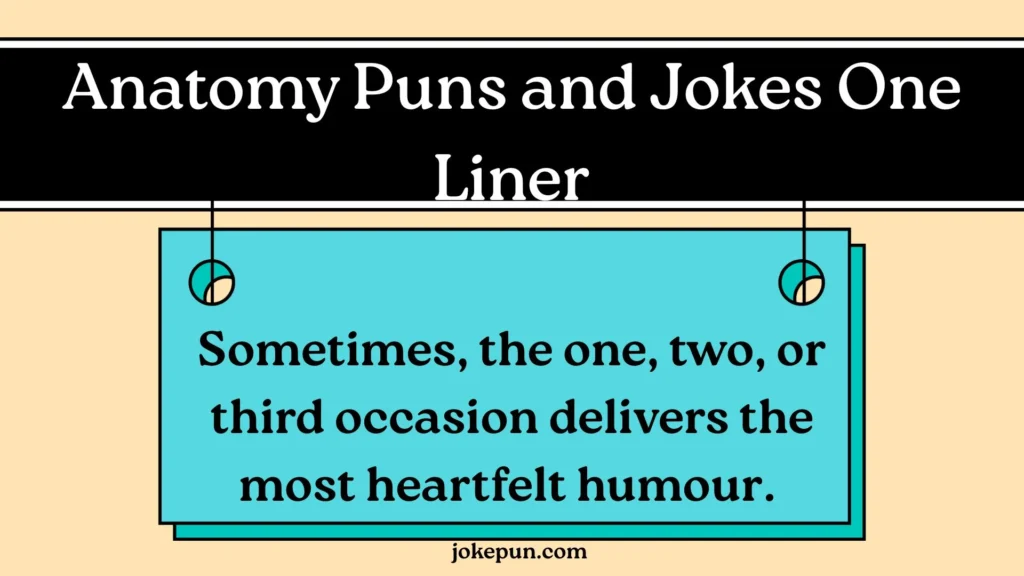 Anatomy Puns and Jokes One Liner