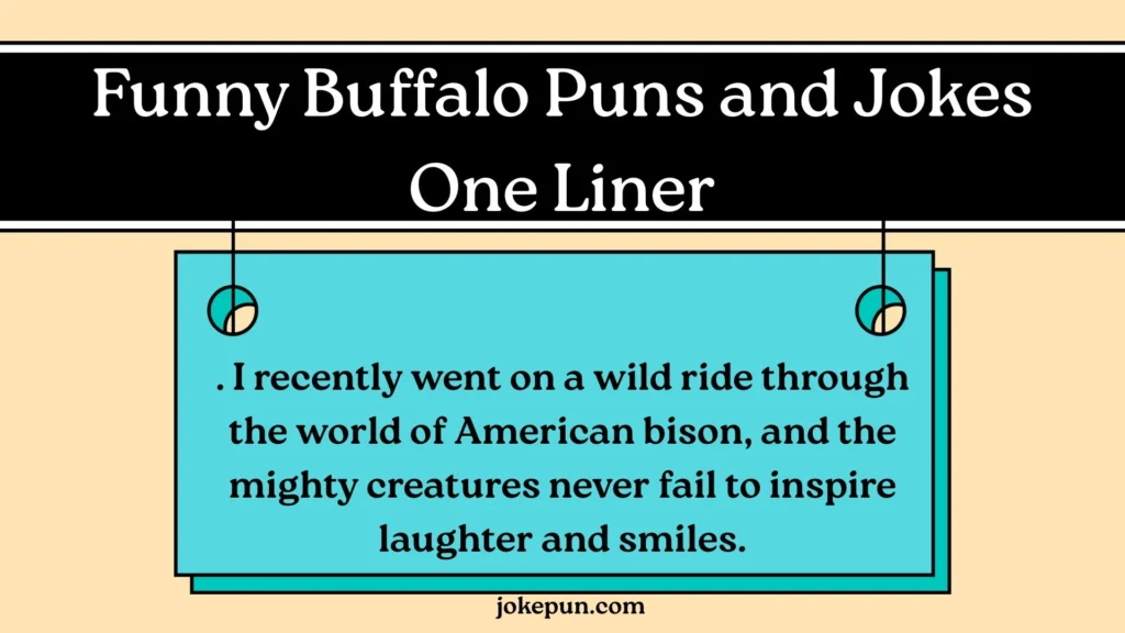 Funny Buffalo Puns and Jokes One Liner