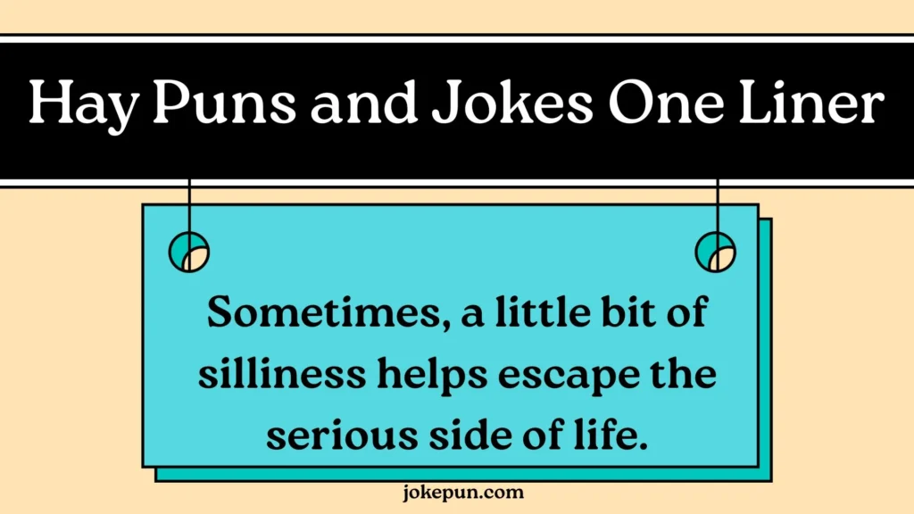 Hay Puns and Jokes One Liner