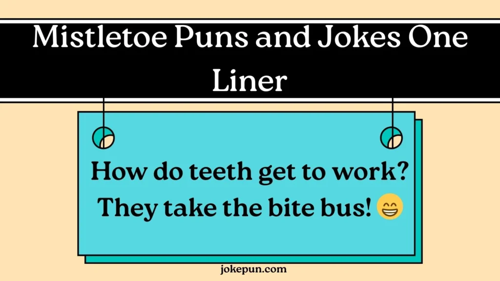 Mistletoe Puns and Jokes One Liner