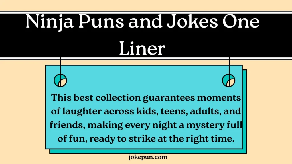 Ninja Puns and Jokes One Liner