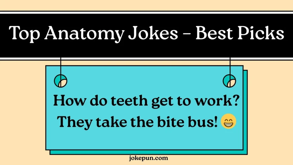 Top Anatomy Jokes – Best Picks