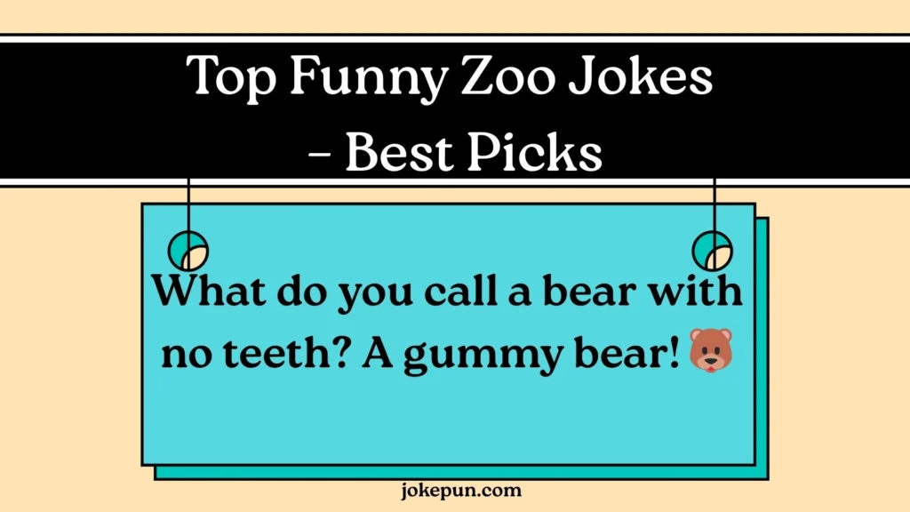 Top Funny Zoo Jokes – Best Picks