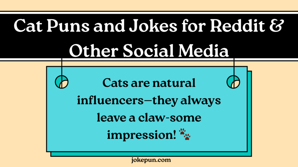 Cat Puns and Jokes for Reddit & Other Social Media