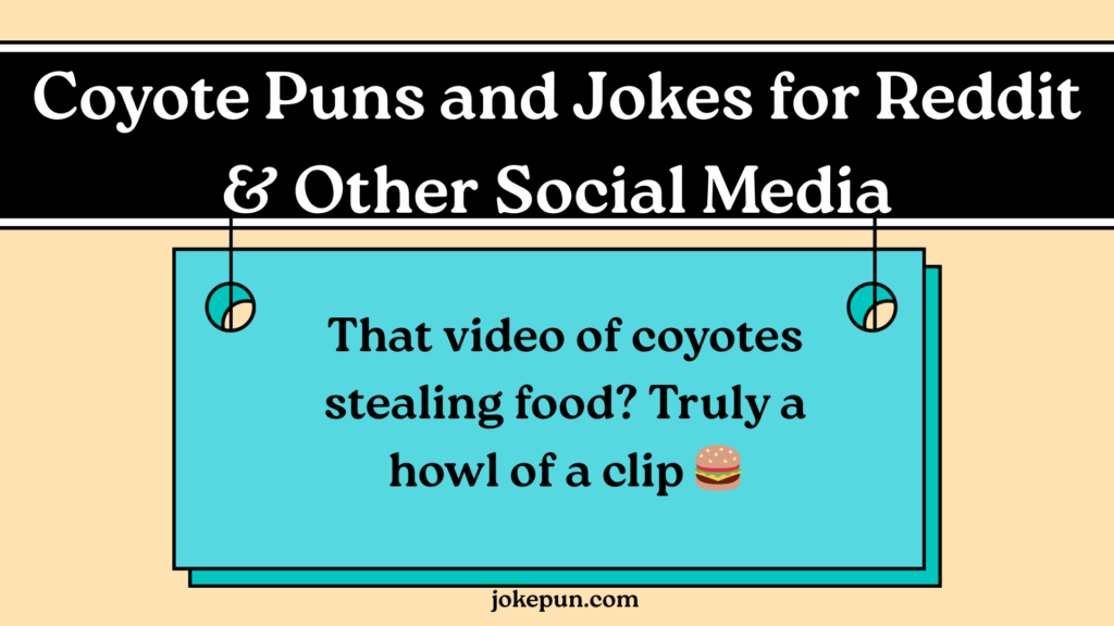 Coyote Puns and Jokes for Reddit & Other Social Media