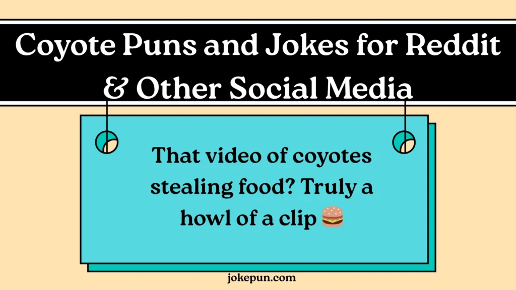 Coyote Puns and Jokes for Reddit & Other Social Media