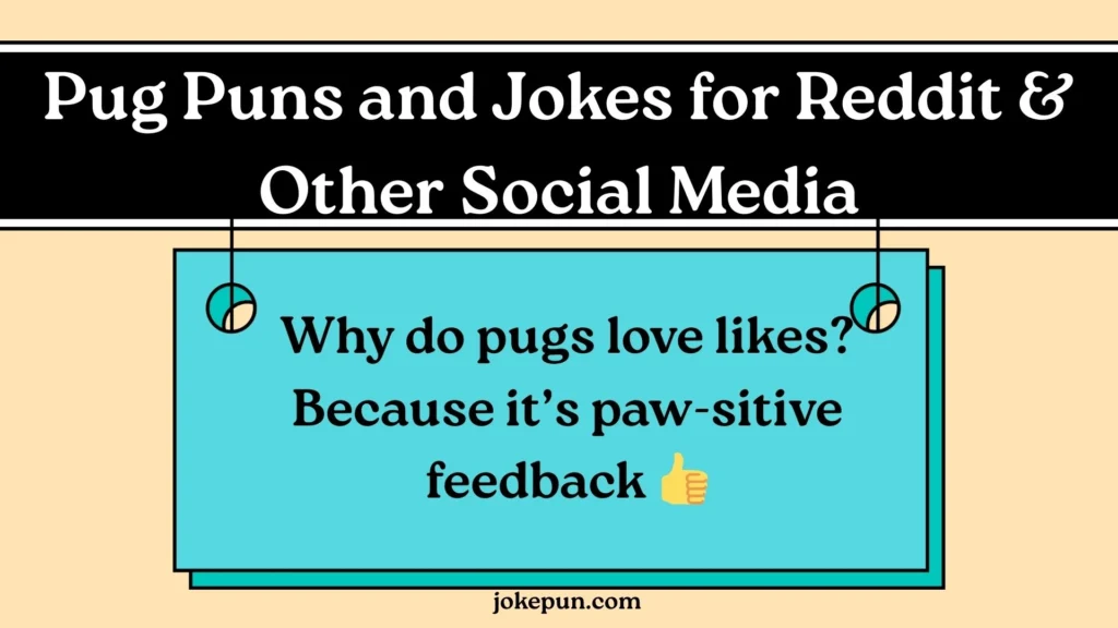 Pug Puns and Jokes for Reddit & Other Social Media