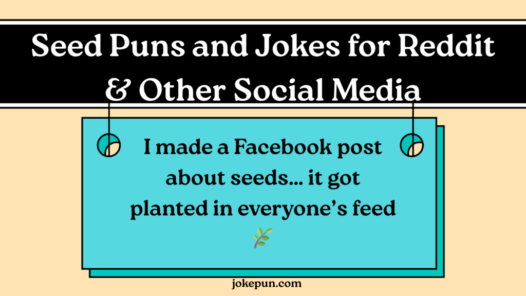 Seed Puns and Jokes for Reddit & Other Social Media