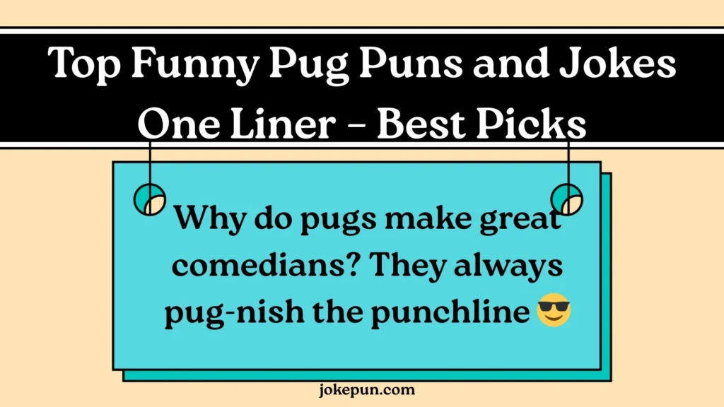 Top Funny Pug Puns and Jokes One Liner – Best Picks