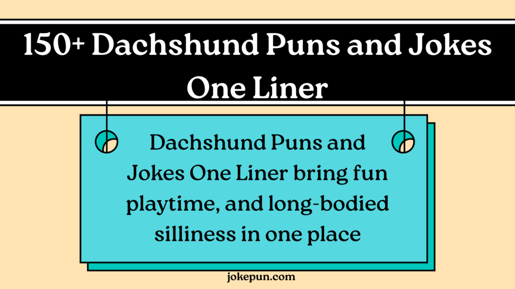 150+ Dachshund Puns and Jokes One Liner