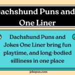 150+ Dachshund Puns and Jokes One Liner
