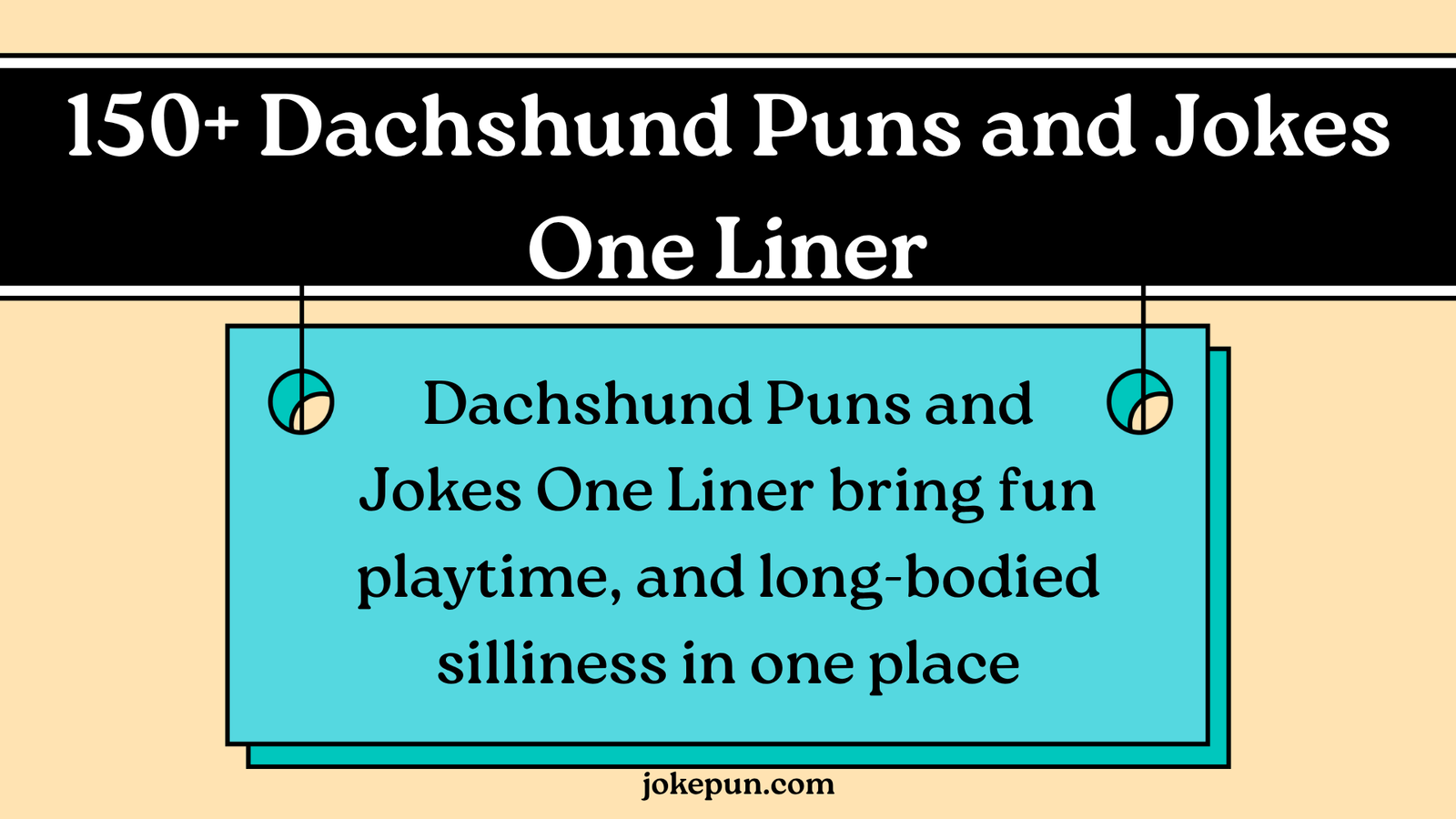 150+ Dachshund Puns and Jokes One Liner
