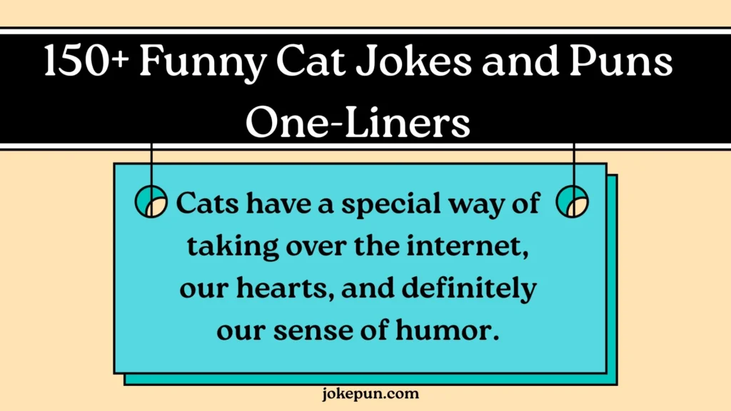 150+ Funny Cat Jokes and Puns One-Liners