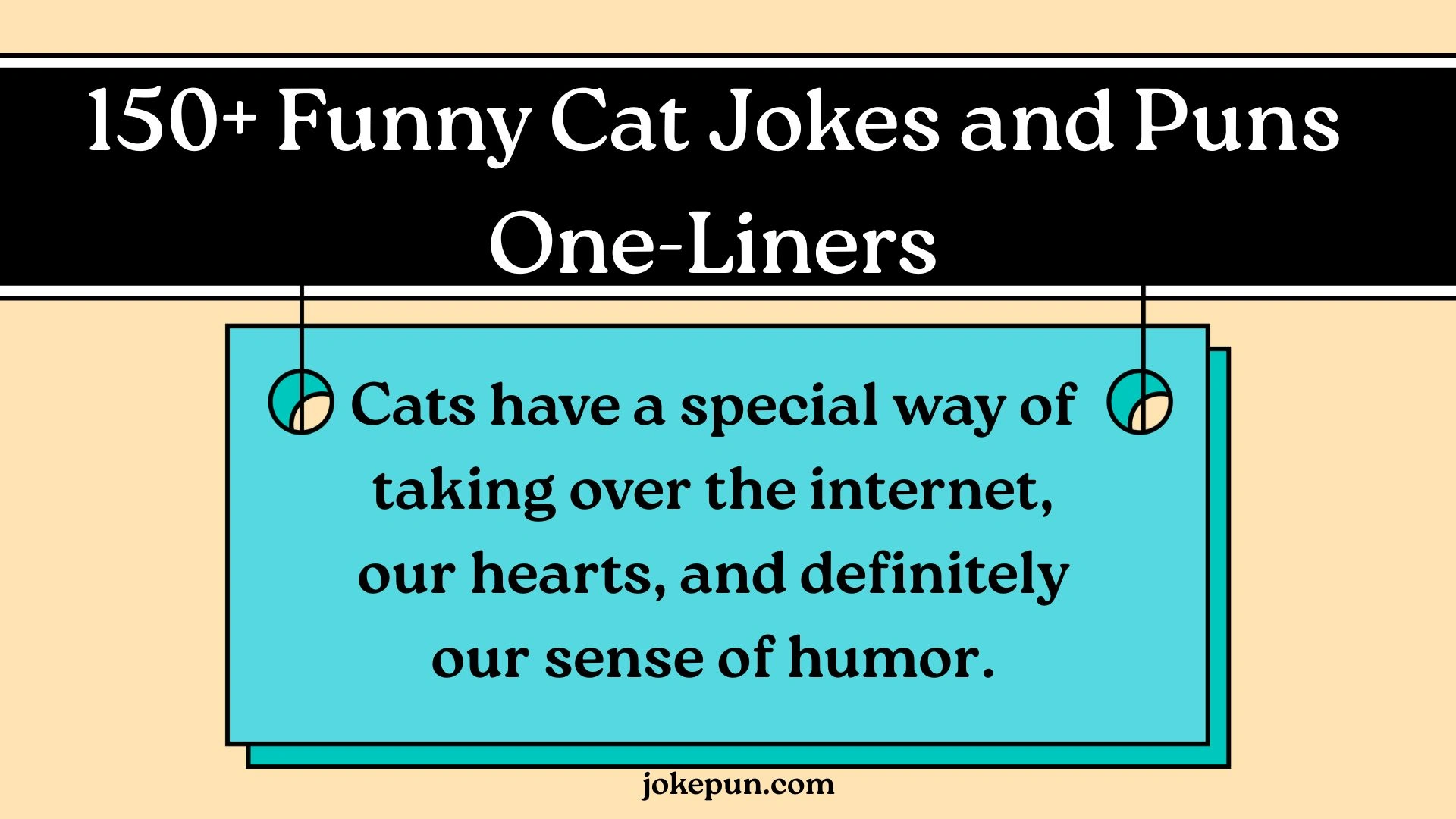 150+ Funny Cat Jokes and Puns One-Liners
