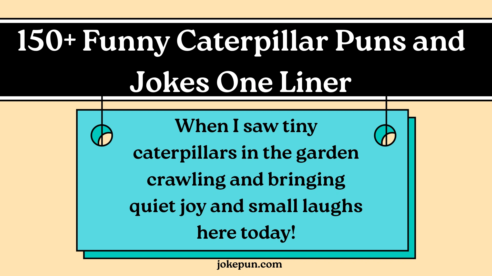 150+ Funny Caterpillar Puns and Jokes One Liner