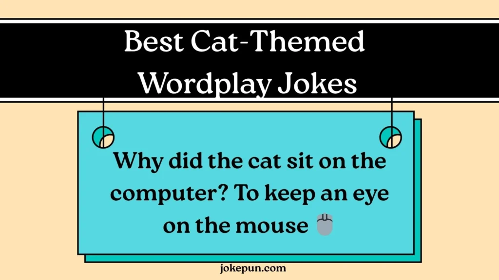 Best Cat-Themed Wordplay Jokes
