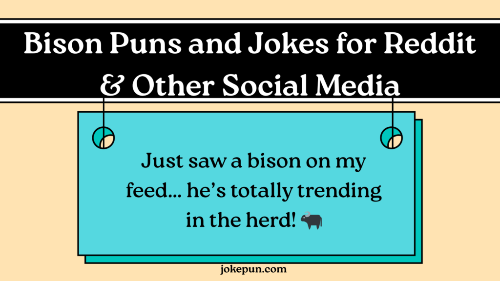 Bison Puns and Jokes for Reddit & Other Social Media