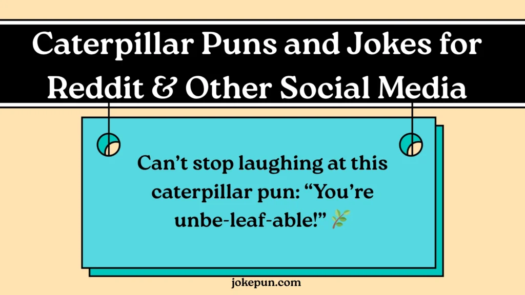 Caterpillar Puns and Jokes for Reddit & Other Social Media