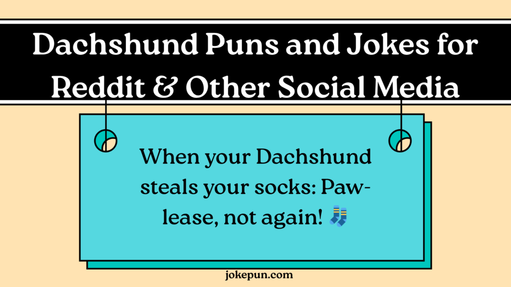Dachshund Puns and Jokes for Reddit & Other Social Media