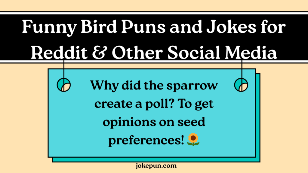 Funny Bird Puns and Jokes for Reddit & Other Social Media