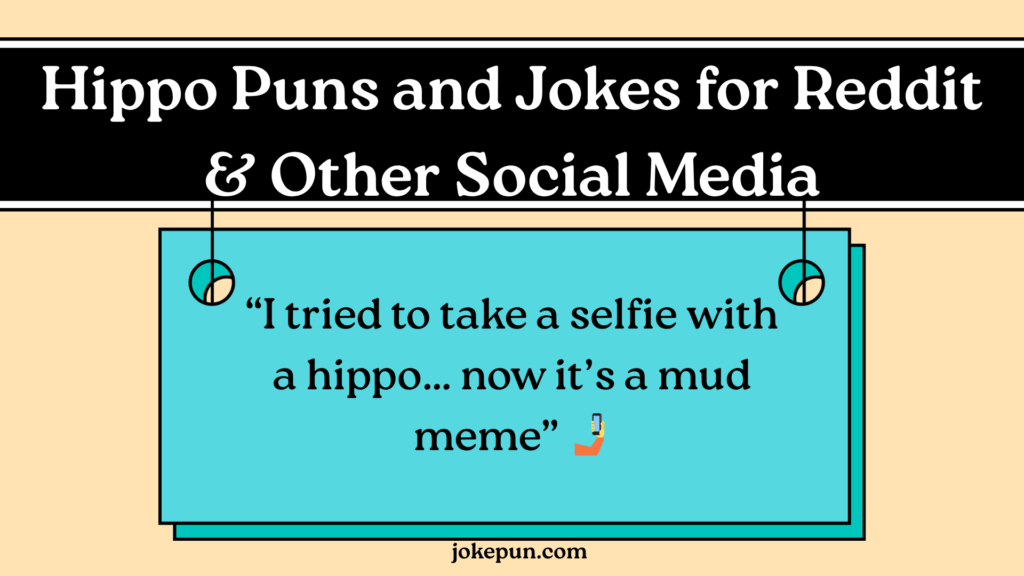 Hippo Puns and Jokes for Reddit & Other Social Media