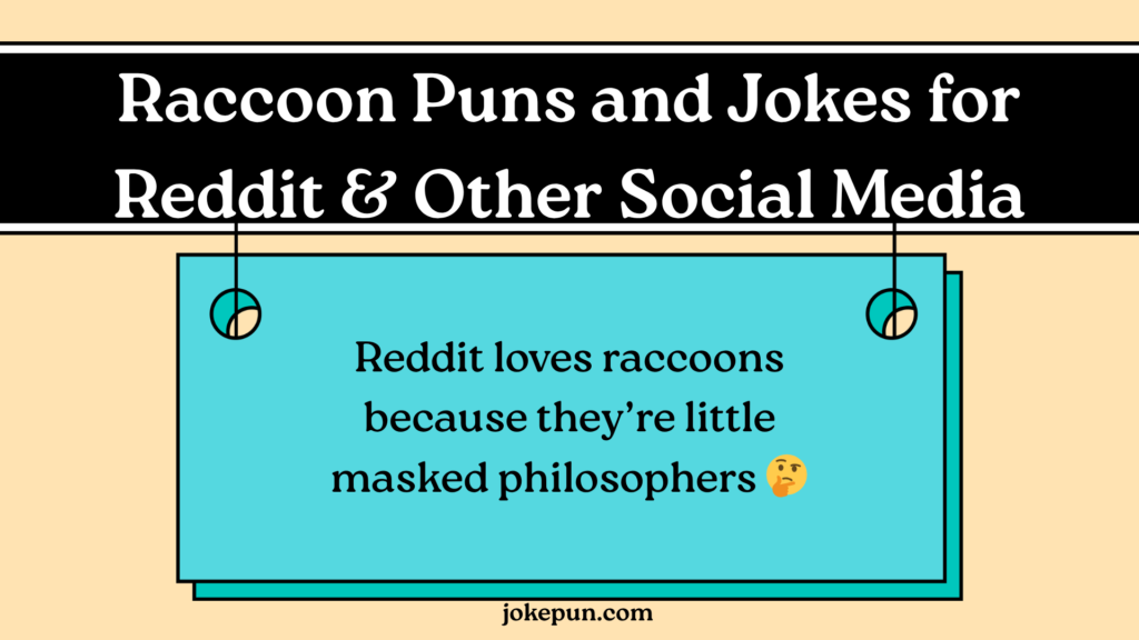 Raccoon Puns and Jokes for Reddit & Other Social Media