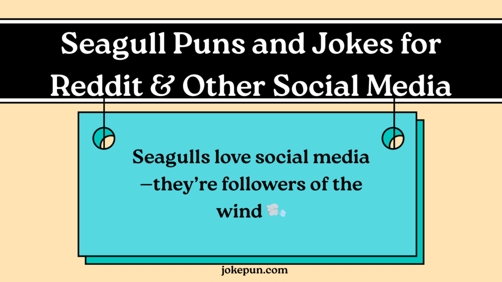 Seagull Puns and Jokes for Reddit & Other Social Media