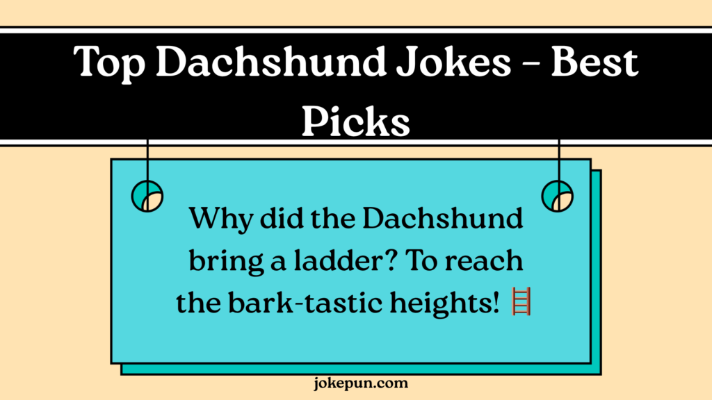 Top Dachshund Jokes – Best Picks