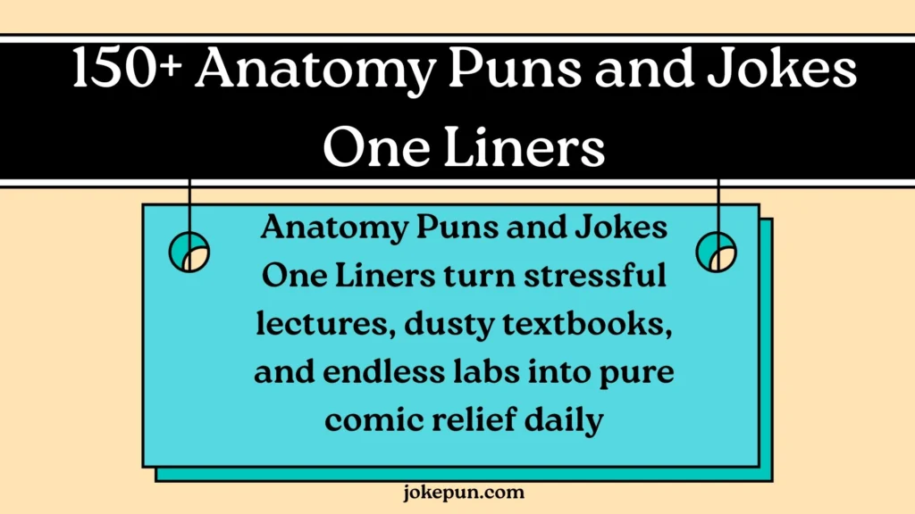 150+ Anatomy Puns and Jokes One Liners