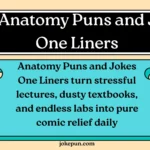 150+ Anatomy Puns and Jokes One Liners