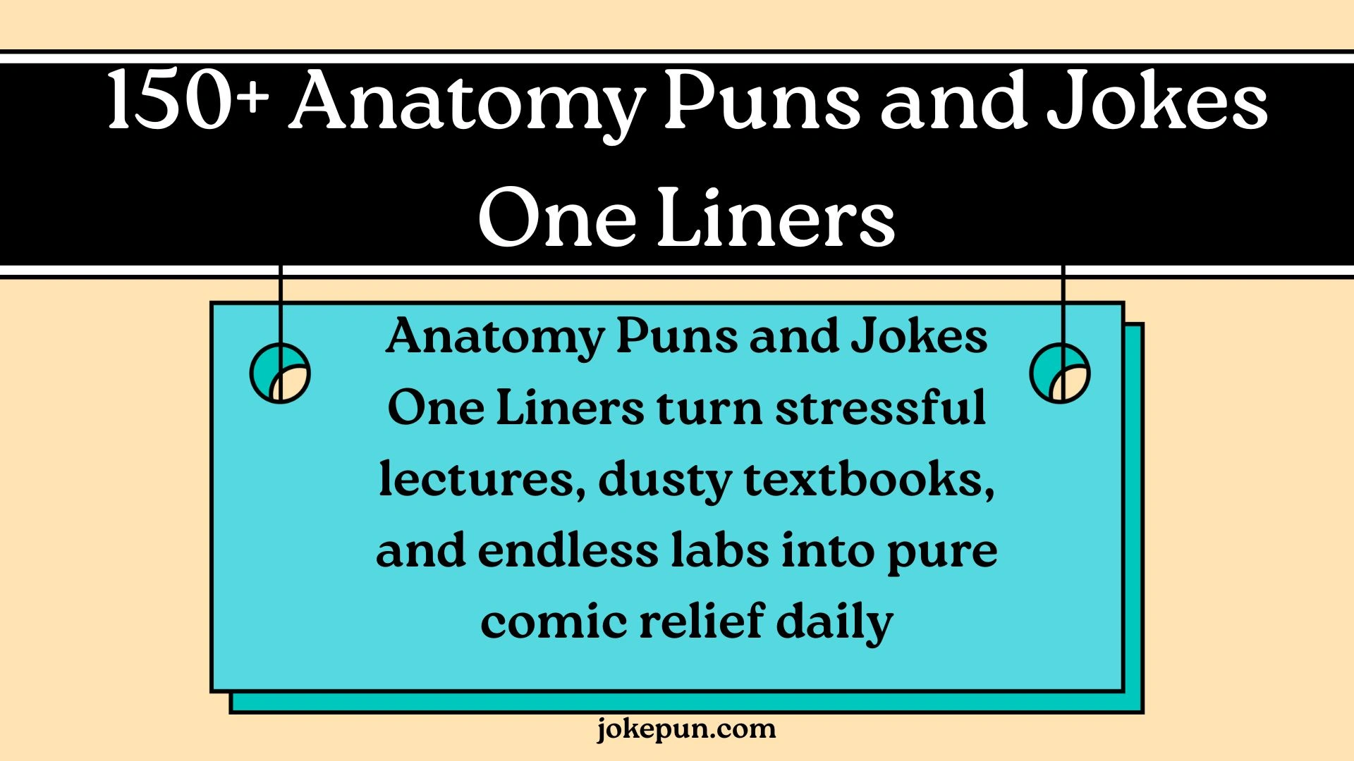 150+ Anatomy Puns and Jokes One Liners