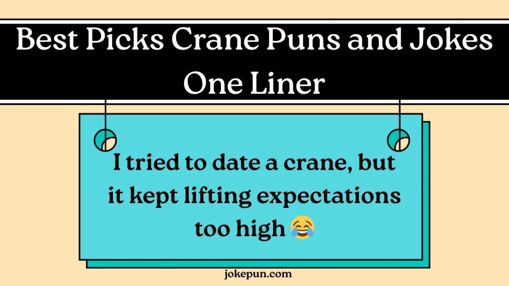 Best Picks Crane Puns and Jokes One Liner