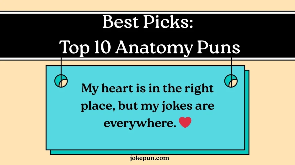 Best Picks: Top 10 Anatomy Puns