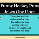 Funny Hockey Puns and Jokes One Liner