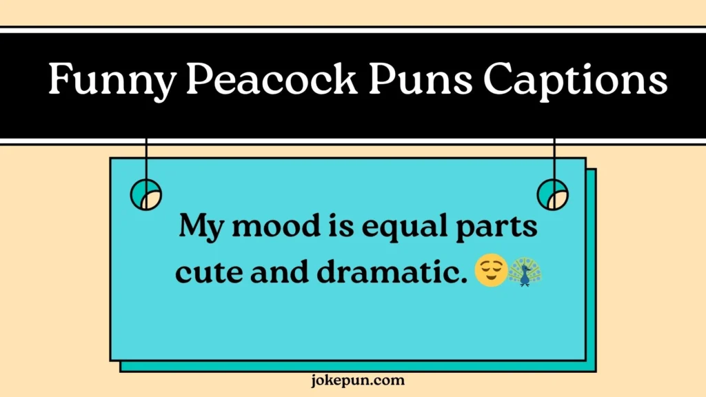 Funny Peacock Puns Captions