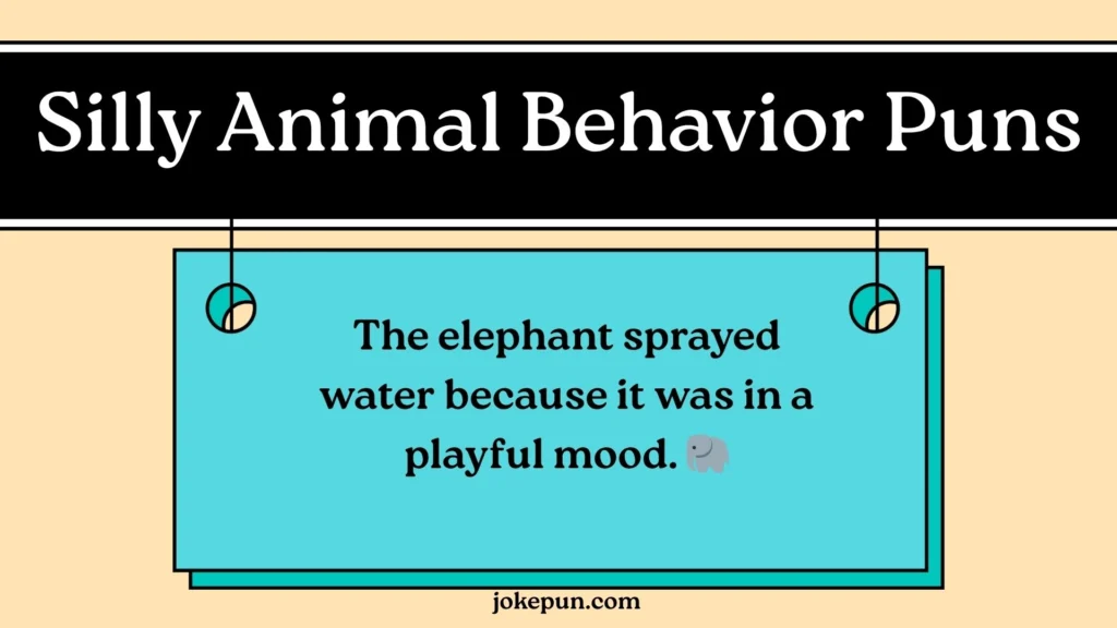 Silly Animal Behavior Puns