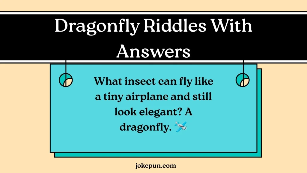 Dragonfly Riddles With Answers