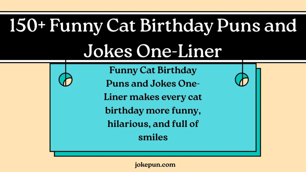 Funny Cat Birthday Puns and Jokes One-Liner