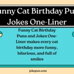 Funny Cat Birthday Puns and Jokes One-Liner