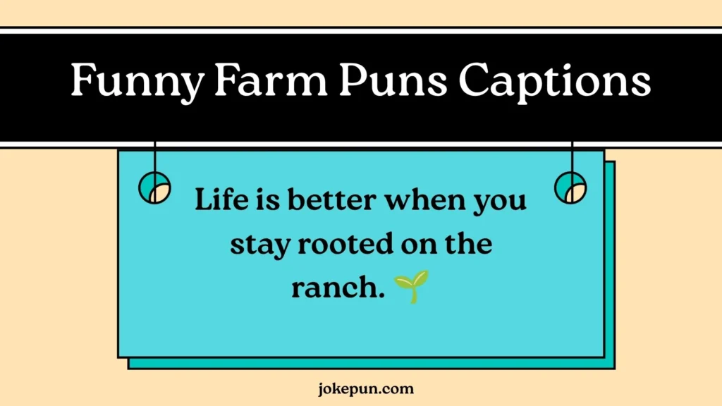 Funny Farm Puns Captions