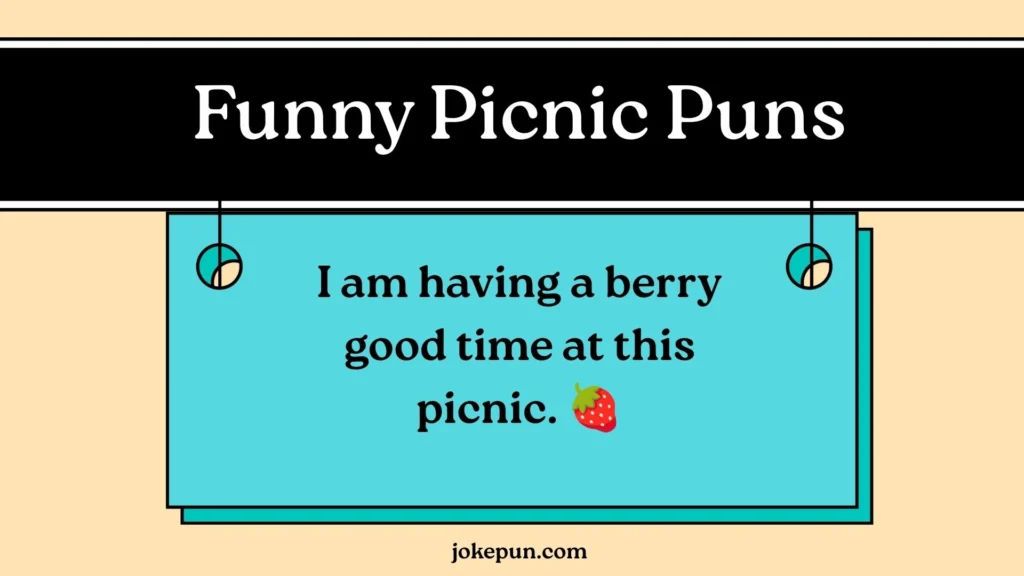 Funny Picnic Puns
