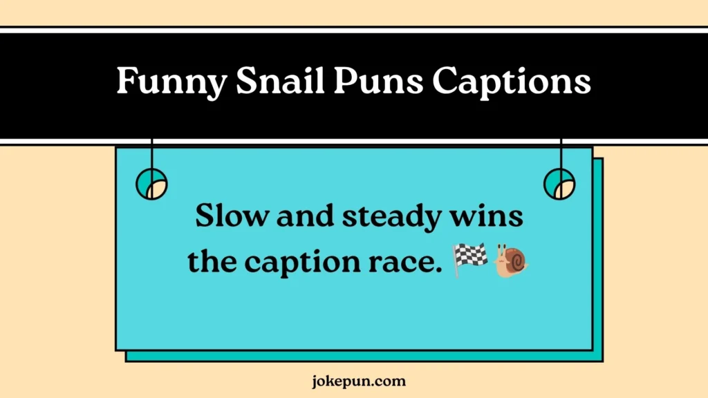 Funny Snail Puns Captions