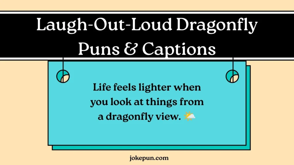 Laugh-Out-Loud Dragonfly Puns & Captions