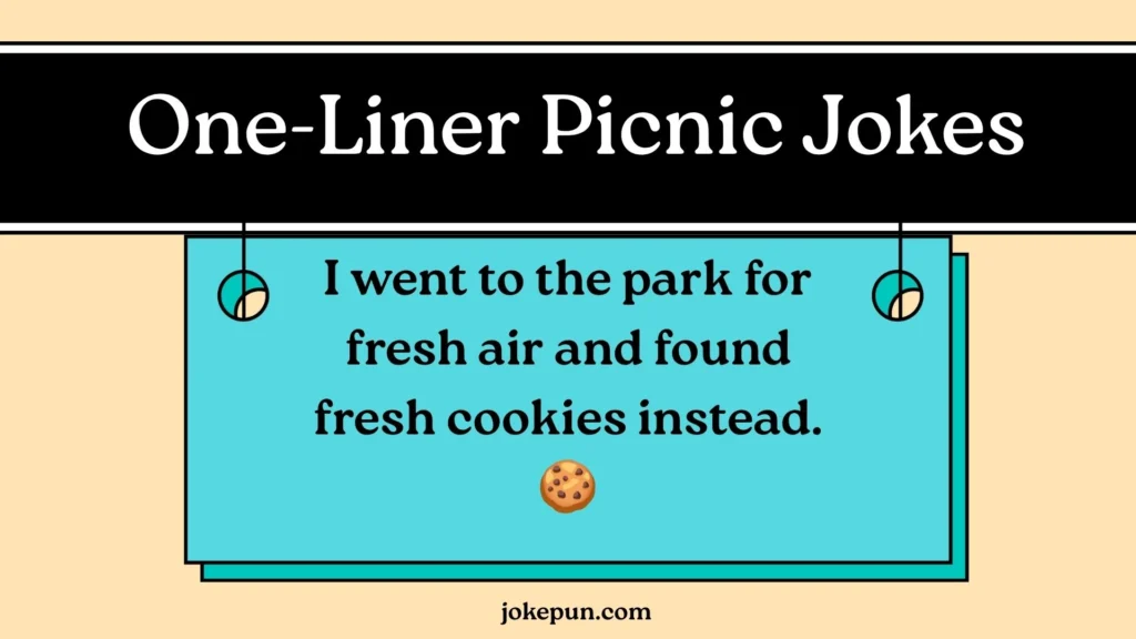 One-Liner Picnic Jokes