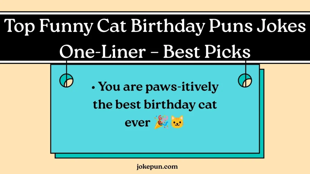 Top Funny Cat Birthday Puns Jokes One-Liner – Best Picks